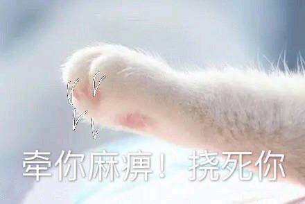 小猫爪牵宝手表情包丑拒系列,可爱啊!