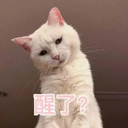 歪头的表情包:有没有想我鸭