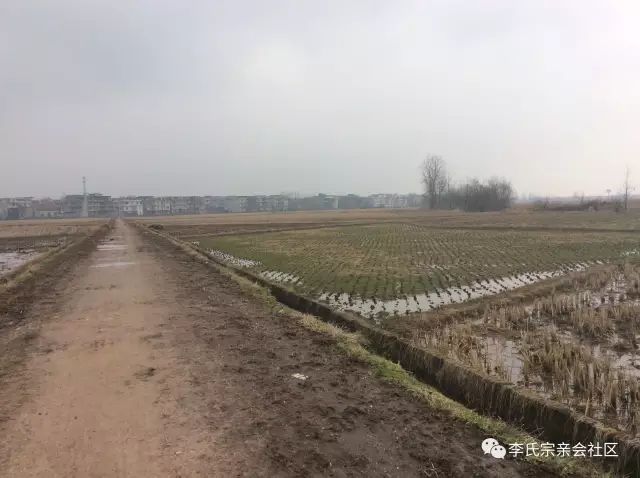 盘谷镇人口_人口普查(2)