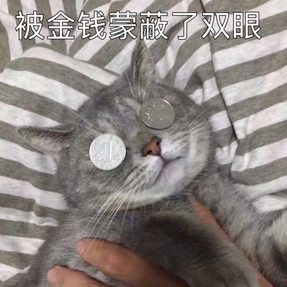 可爱猫咪搞笑表情包:被生活折磨到面目全非!