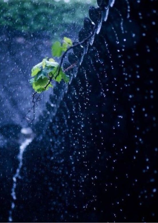 【读城】处暑,暑向风前退,秋从雨后来——秋凉未至,秋凉将至