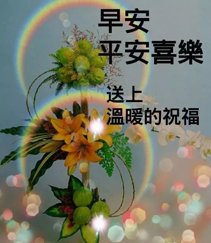 11月26日早安祝福语动态图片带字阳光治愈系暖心的祝福语