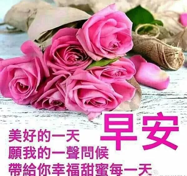 1月31日最好看的早上好祝福问候语 最新早安祝福美图送给你