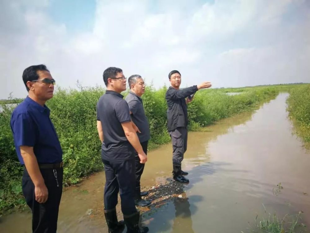 公主岭市人大常委会检查东辽河防汛工作