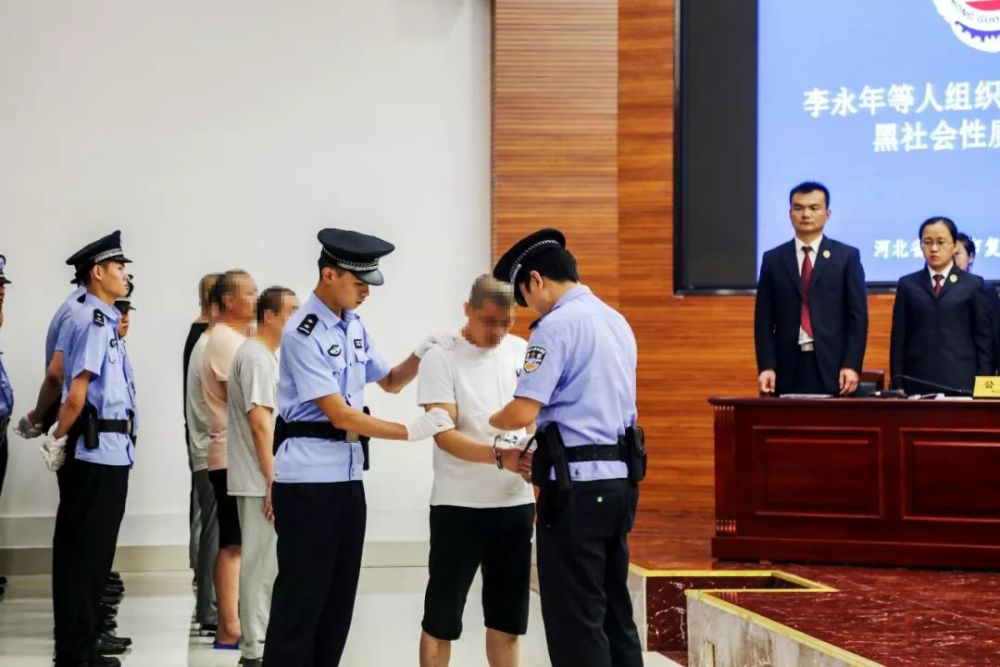 邯郸这个"称霸一方"的黑社会组织为非作恶,最高被判二