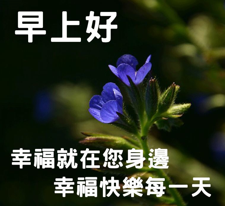 早安快乐吉祥!