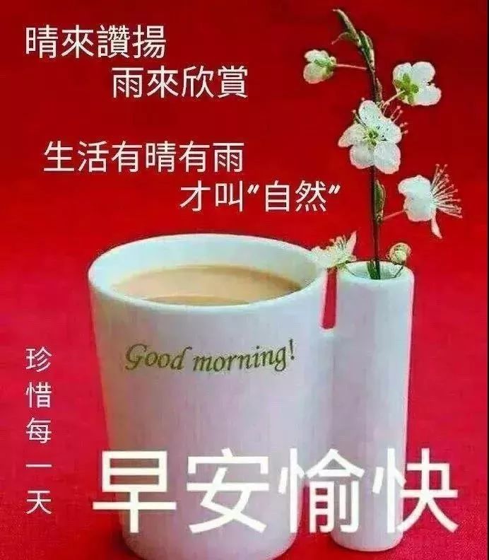 最美早安问候图片带字温馨句子,早上好问候动态表情