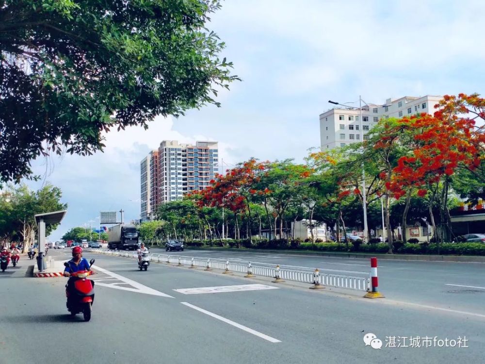 湛江城市foto社再次起航