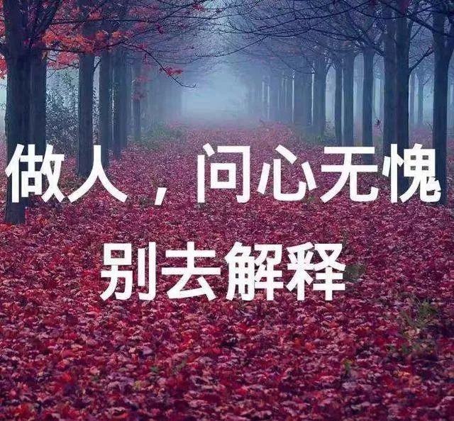 做人做事,问心无愧就好,别去解释!