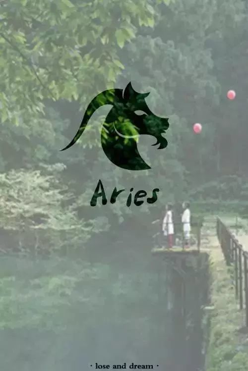 白羊 aries assertive = 武断 risk-taking = 爱冒险 independent =