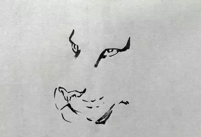 书画联盟丨写意老虎画法步骤