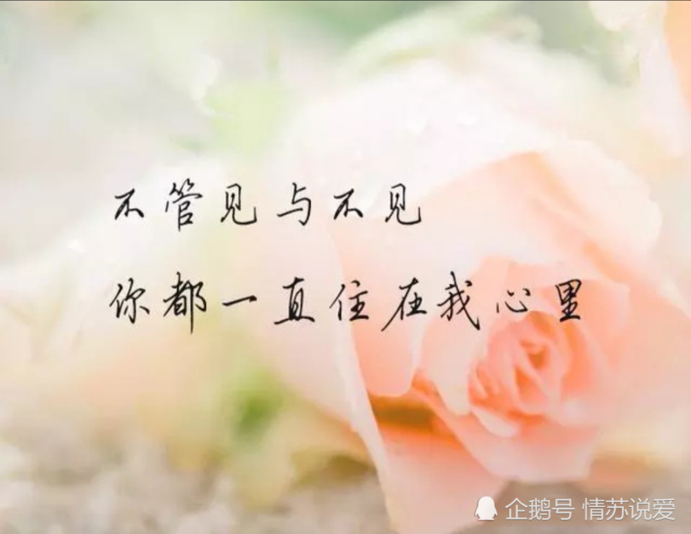 对不起,原来曾经的我,打扰了你那么久!