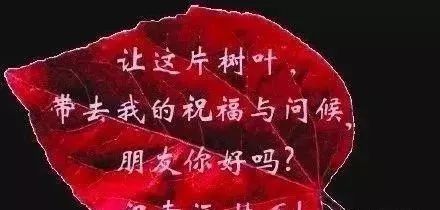 早上好唯美动态图片祝福语 朋友圈早安问候图片带字