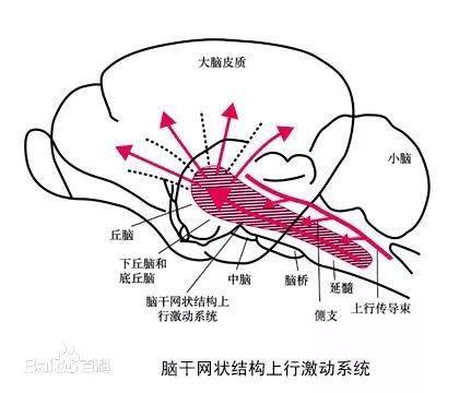 什么是前庭觉