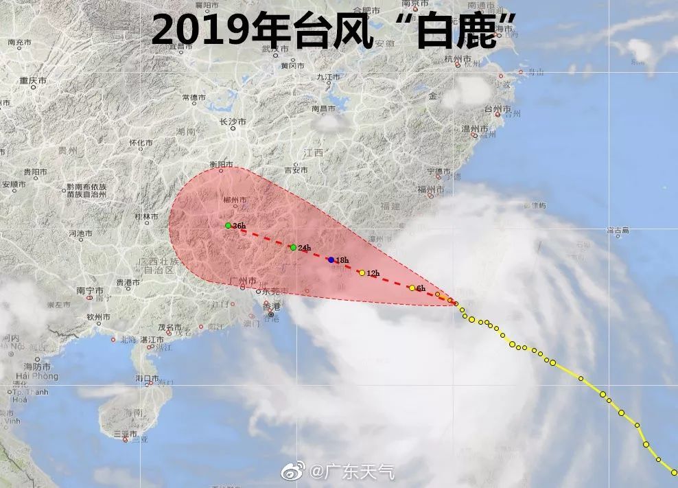 台风白鹿登陆了