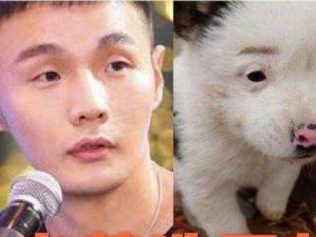 明星撞脸动物王俊凯可爱李现呆萌看到李荣浩亲兄弟