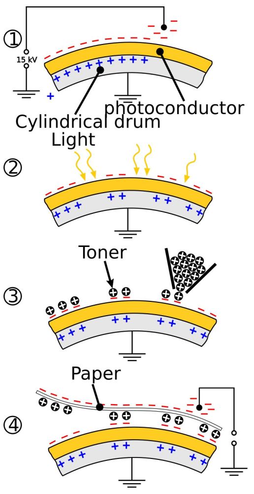 复印机原理 不同的品牌碳粉所带的电荷不同,相应的,硒鼓所带的电荷也