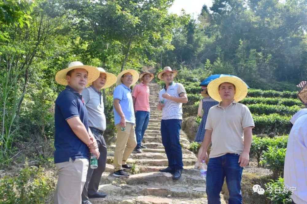 寿宁新闻网讯 徐茂龙近日,福安市穆阳镇党政代表团到芹洋乡参访考察