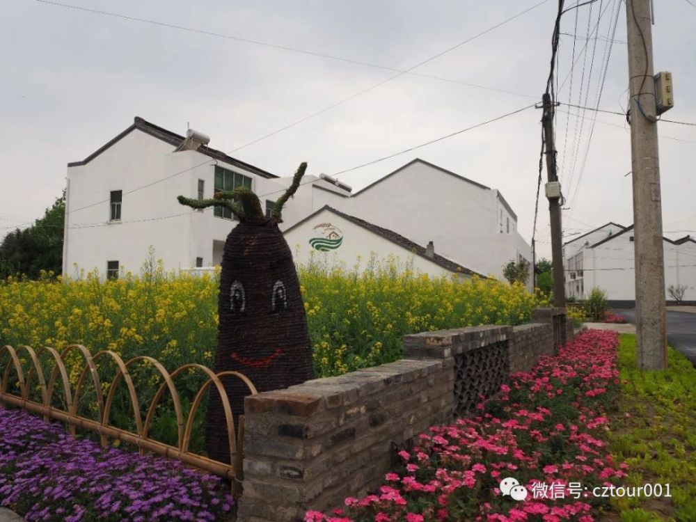 薛家村稻香民宿更是让人耳目一新, 而风景如画的东南村 也成为西夏墅