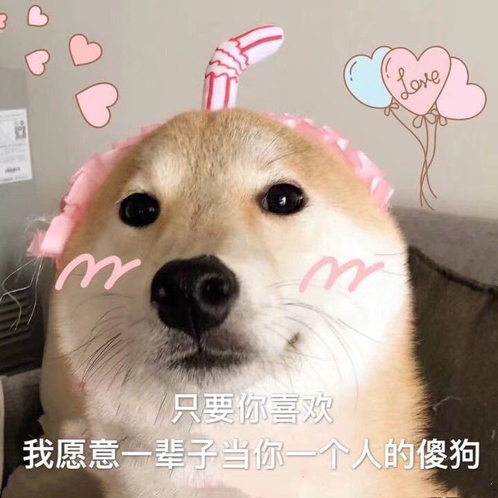狗狗表情包:只要你喜欢,我愿意一辈子当你一个人的傻狗