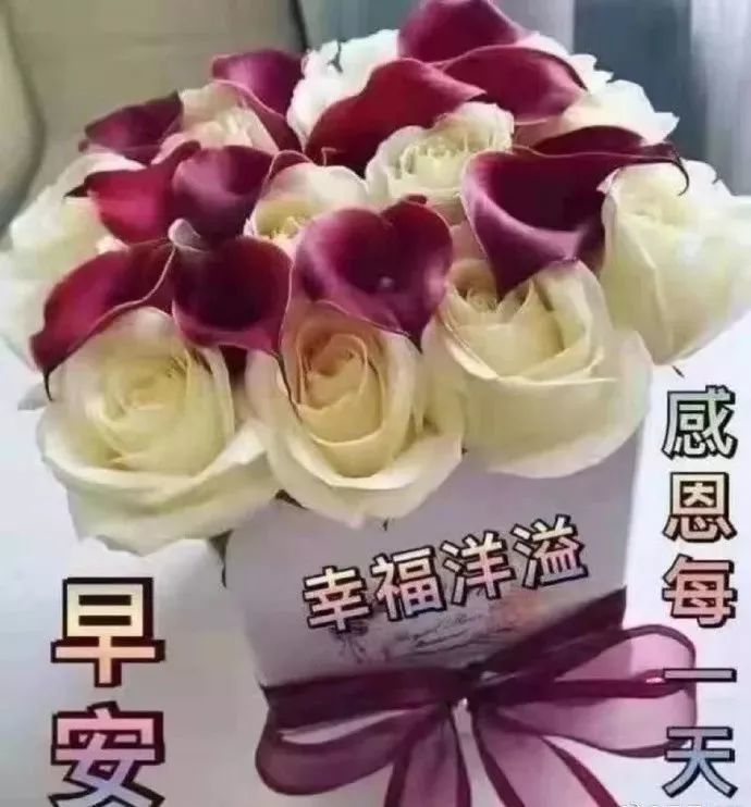 朋友圈很火的早上简短祝福语图片大全 很温馨的清晨问候语