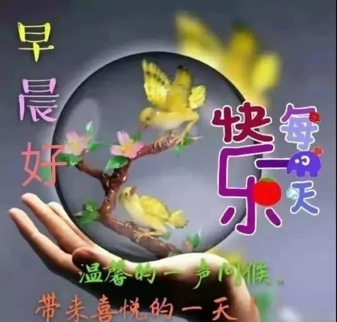 晚安朋友:微信朋友圈最新晚安问候语正能量图片带字,中老年走心问候小