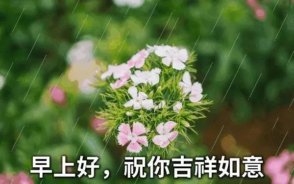 早上好,祝福送给你,祝你好运久久,幸福久久