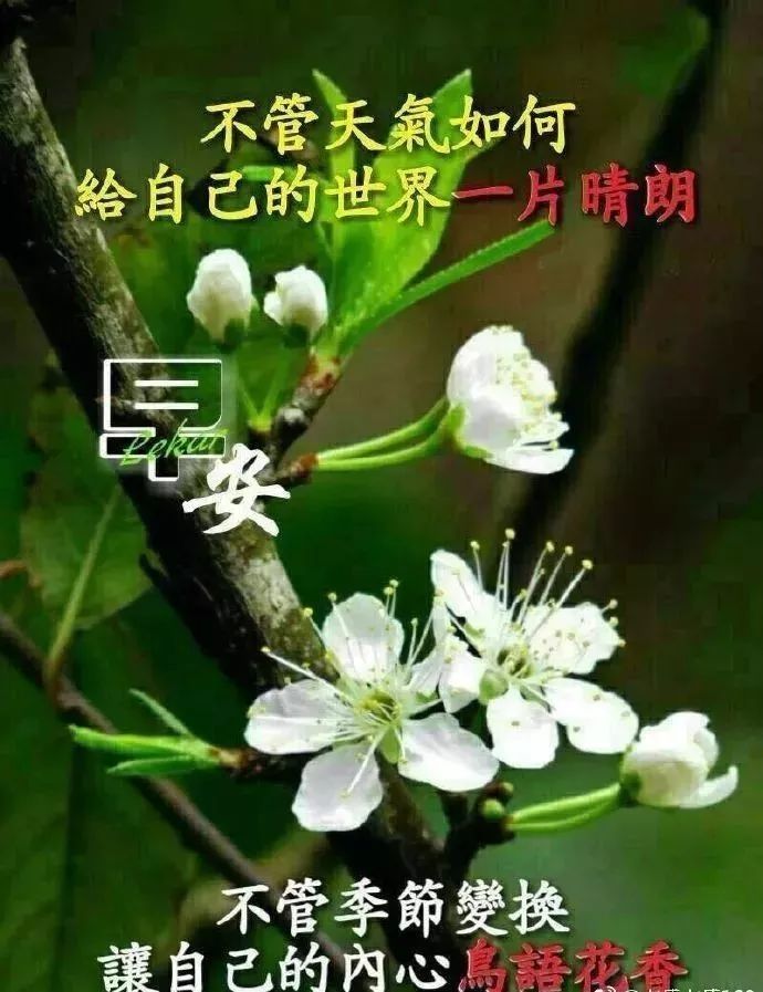 清晨早上好漂亮图片问候祝福语群发朋友,清早早晨好暖