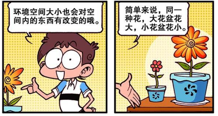 星太奇恐怖的僵尸抱枕奋斗家居然有超大蟑螂