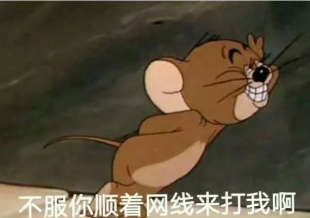 "猫和老鼠"表情包:杰瑞大胆挑衅,不服你顺着网线来打我啊!