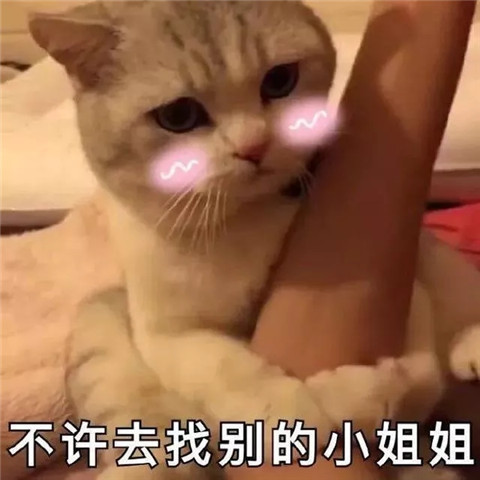 沙雕表情包上线,抱住你的手,不许你去找别的小姐姐