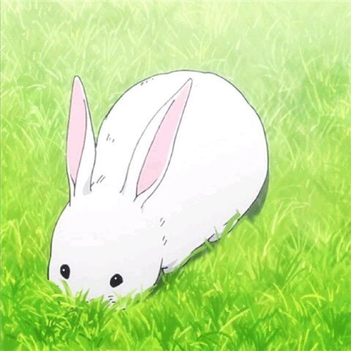 动漫图片:吃草的小兔子