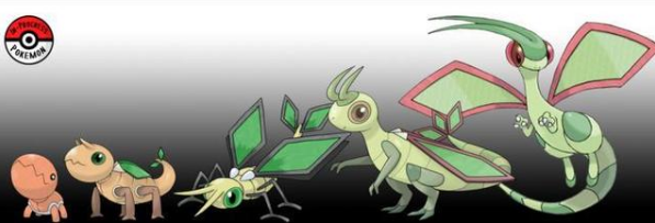 宝可梦进化中,丑丑鱼逆袭美纳斯,大颚蚁是这样变成沙漠蜻蜓的?