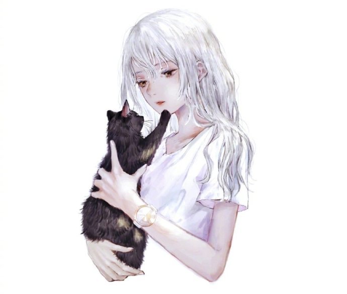 动漫图片,女孩和黑色的猫