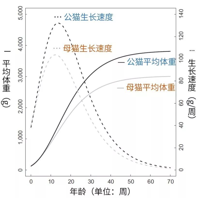 猫咪的 体重和性别有关吗?