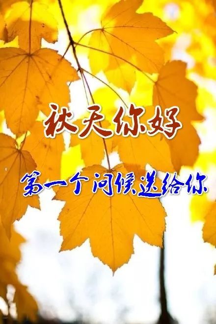秋天早上的祝福句子