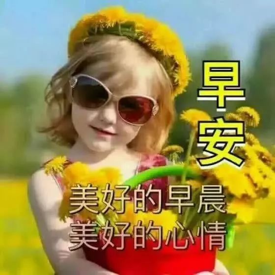 朋友们早上好图片表情包 早上好问候语动态图片大全