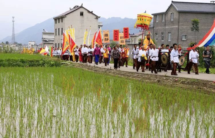 青青知我心省级非遗绩溪安苗节巡礼