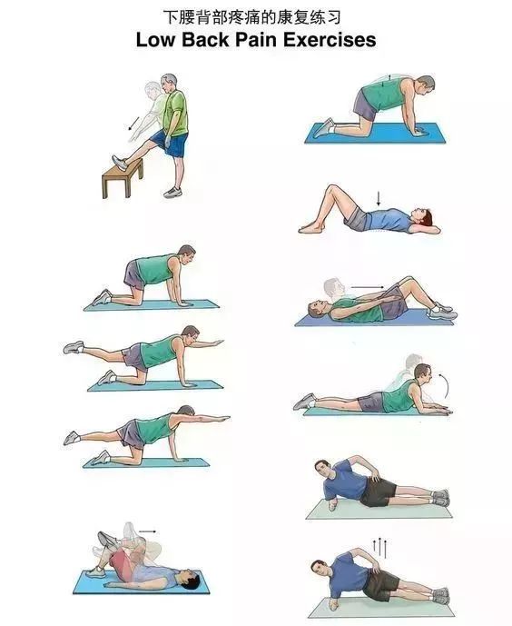 10套颈,肩,背,腰,腿的疼痛康复练习操!