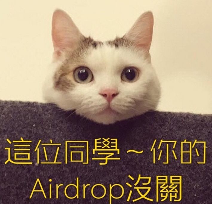 觉得很好玩,就用自家猫猫做了个表情包: 「喂,你的airdrop忘记关啦!