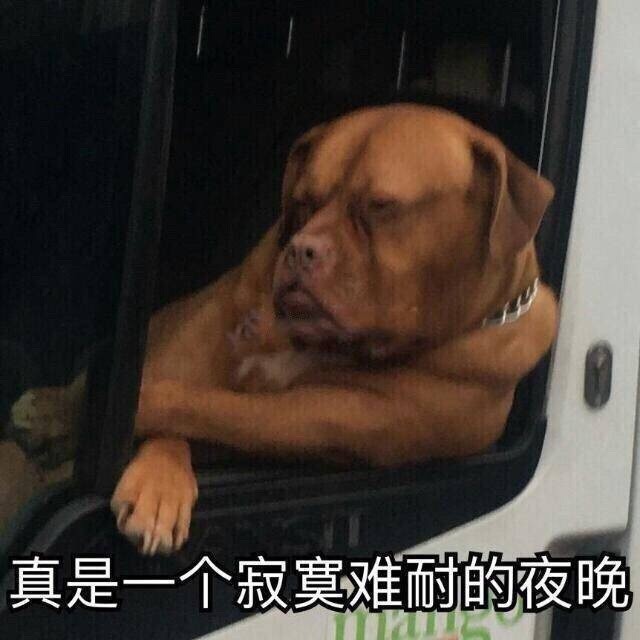 搞笑图片盘点: 你算个什么东西