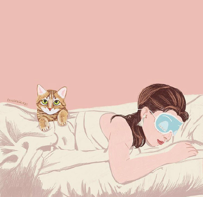 动漫图片,两只小猫依偎在一起