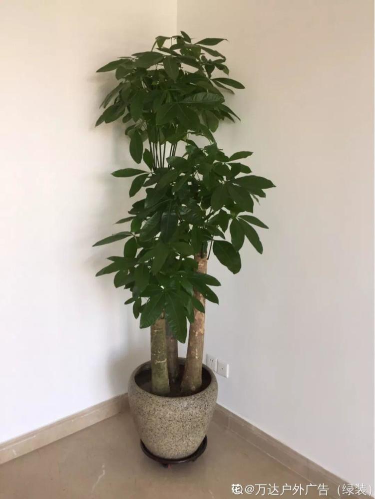 1000