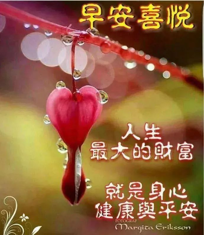早上好图片带字动态表情 早上好图片问候祝福语句子