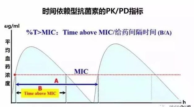 对于时间依赖型的抗菌素,其使用的有效性与给药时间间隔是有直接关系