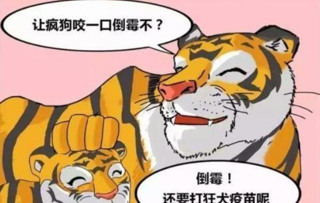 搞笑漫画:森林之王老虎,为什么会怕一条疯狗?