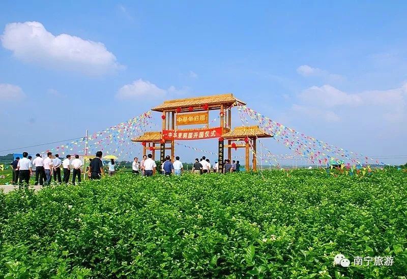 今天小编就给大家介绍几个好去处~ 1 中华茉莉园位于横县"茉莉小镇"校