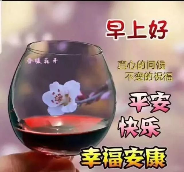 微信群发清晨早安问候语动态图片表情 漂亮早上好问候