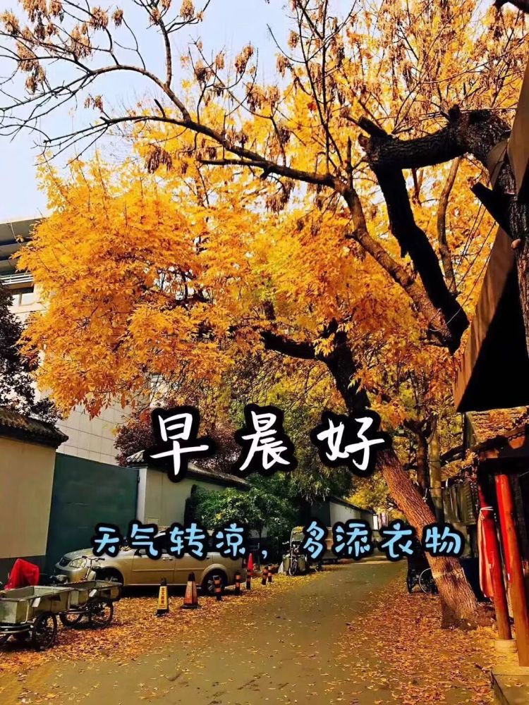 温馨的早上好问候语录图片带字,漂亮的早上好祝福美图