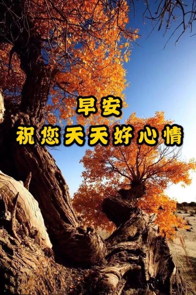 冬季问候大家早上好漂亮落叶纷飞图片带字 清晨早上好问候动图说说